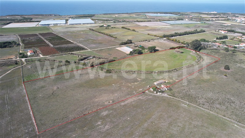 Quinta  Odemira, Cavaleiro - 1234754 - 24