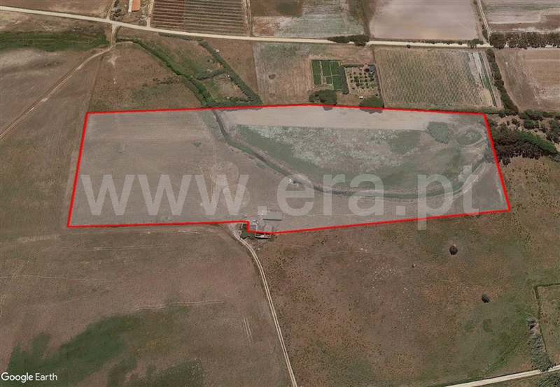 Quinta  Odemira, Cavaleiro - 1234754 - 14