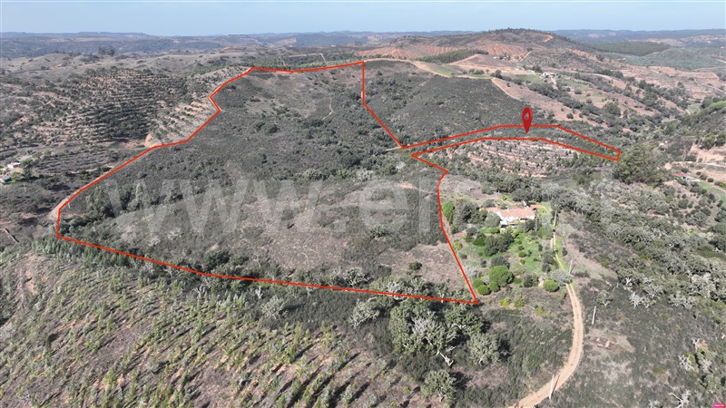 Quinta  Odemira, Luzianes Gare - 1435537 - 2
