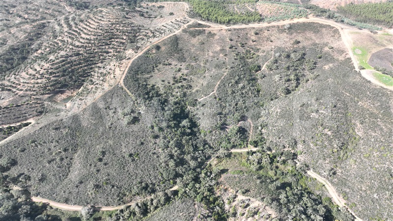Quinta  Odemira, Luzianes Gare - 1435537 - 7