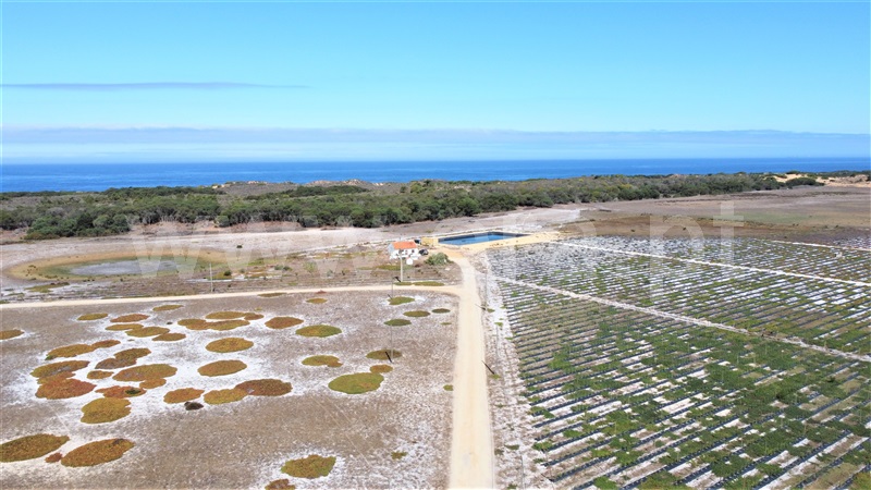 Quinta  Odemira, Longueira/Almograve - 1267217 - 30