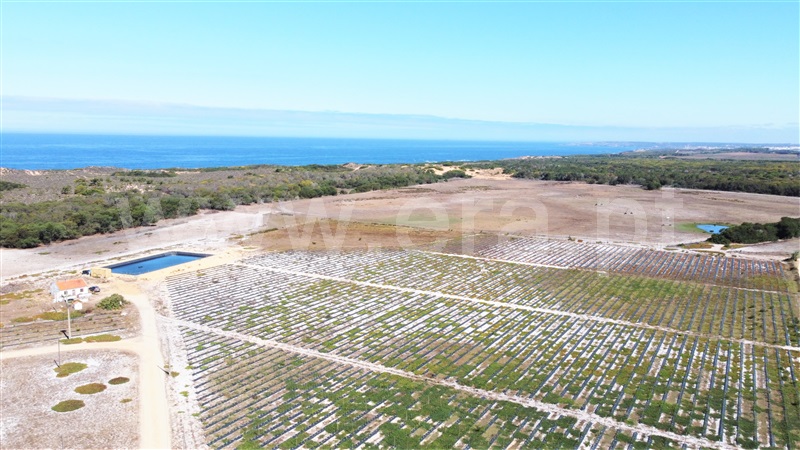 Quinta  Odemira, Longueira/Almograve - 1267217 - 31