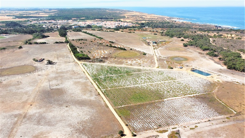 Quinta  Odemira, Longueira/Almograve - 1267217 - 32