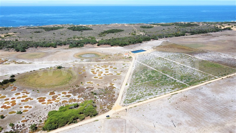 Quinta  Odemira, Longueira/Almograve - 1267217 - 34