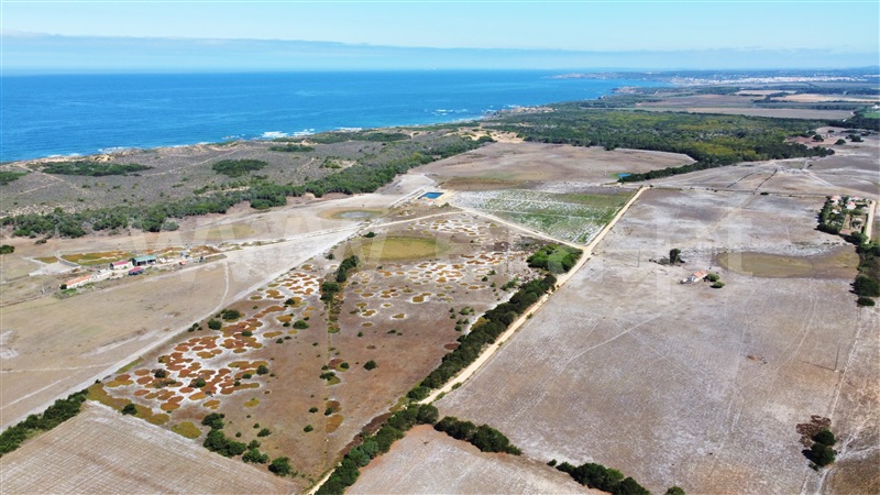 Quinta  Odemira, Longueira/Almograve - 1267217 - 35