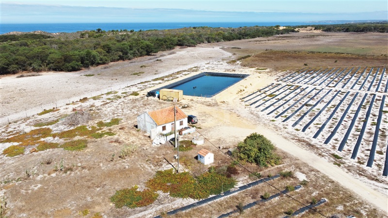 Quinta  Odemira, Longueira/Almograve - 1267217 - 36
