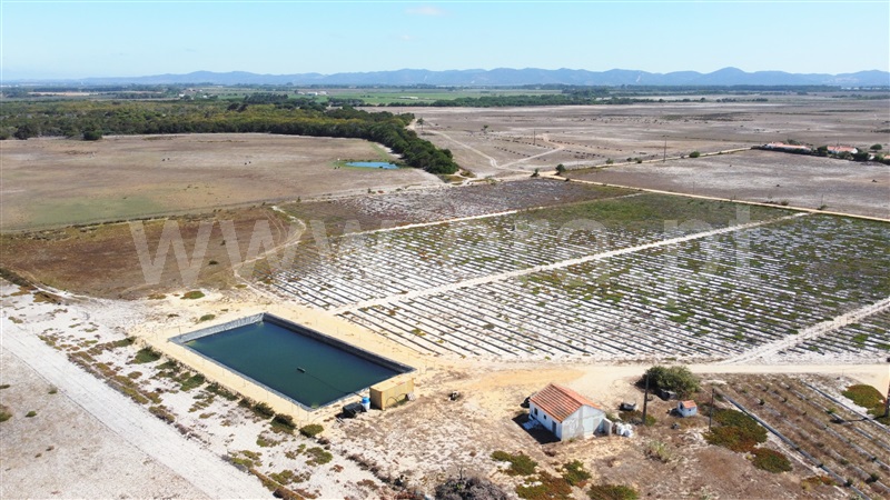 Quinta  Odemira, Longueira/Almograve - 1267217 - 41