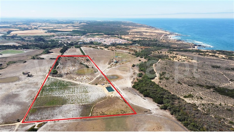 Quinta  Odemira, Longueira/Almograve - 1267217 - 33
