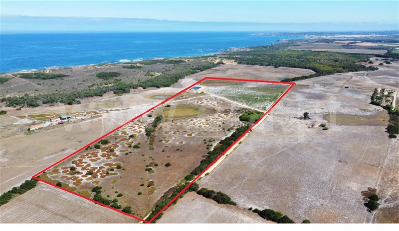 Quinta / Odemira, Longueira/Almograve