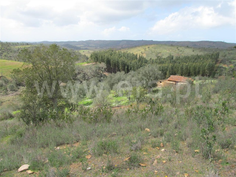 Quinta  Odemira, Luzianes-Gare - 939420 - 7