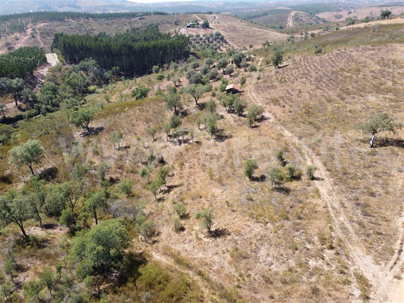 Quinta  Odemira, Luzianes-Gare - 939420 - 20