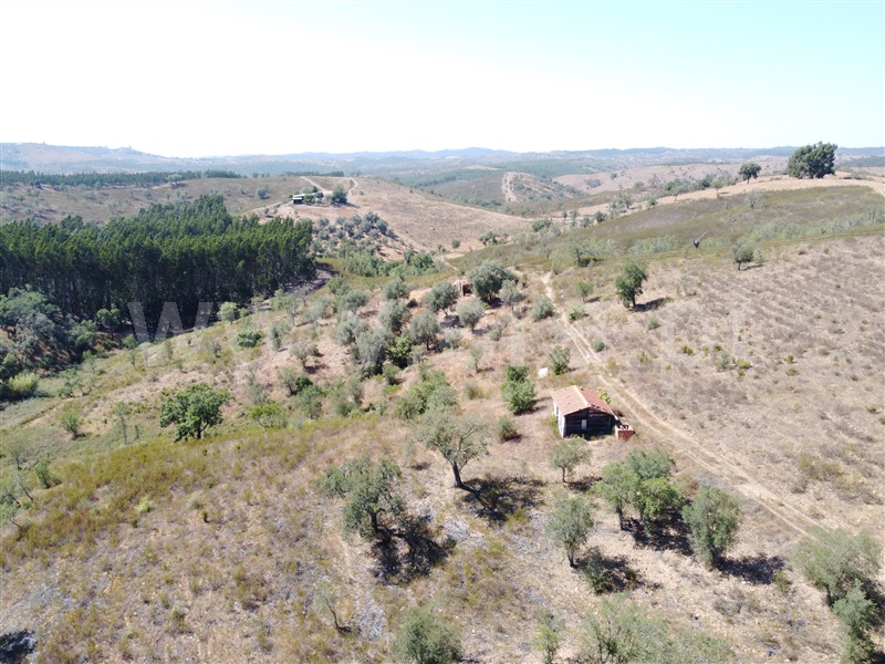 Quinta  Odemira, Luzianes-Gare - 939420 - 24
