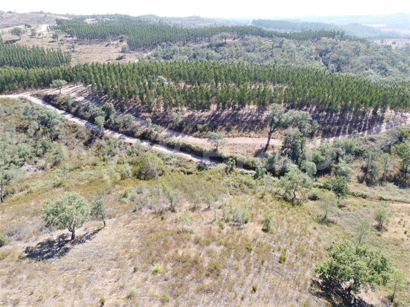 Quinta  Odemira, Luzianes-Gare - 939420 - 26