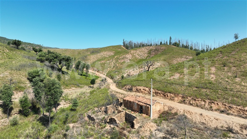 Quinta  Odemira, Saboia - 1336068 - 5