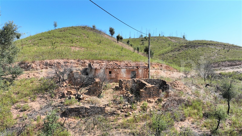 Quinta  Odemira, Saboia - 1336068 - 15