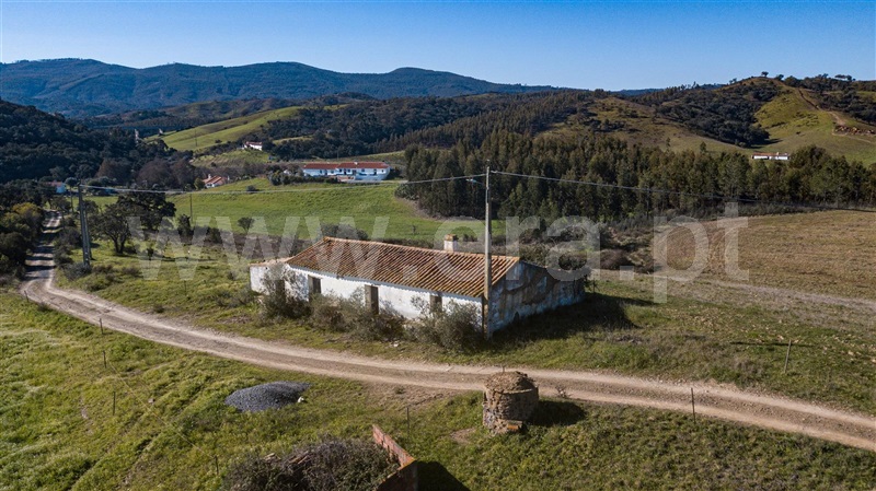 Quinta / Odemira, Saboia
