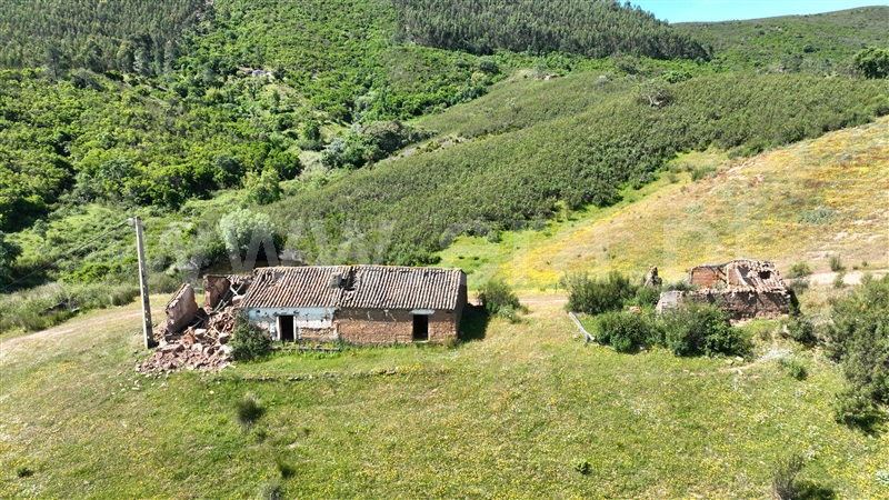 Quinta / Odemira, Saboia