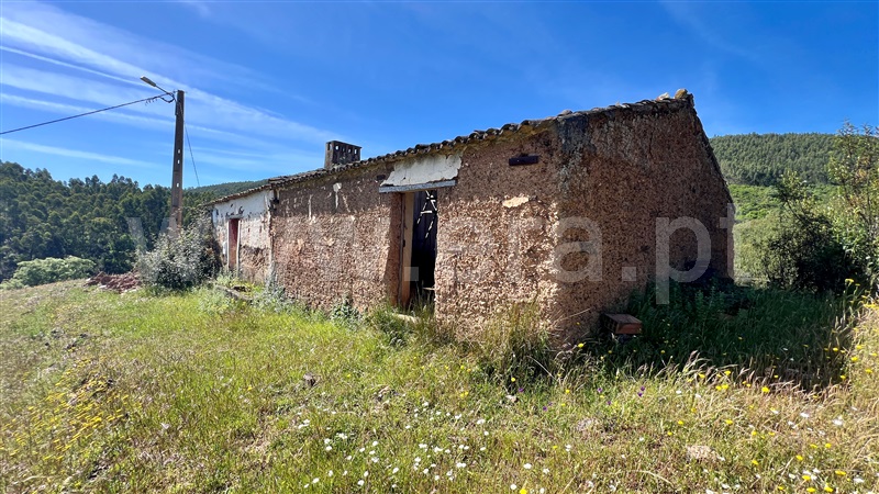 Quinta  Odemira, Saboia - 1402826 - 11