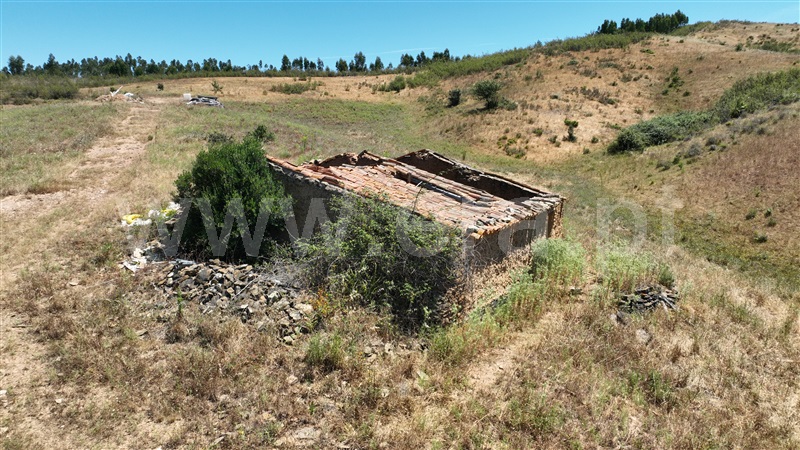 Quinta / Odemira, Saboia