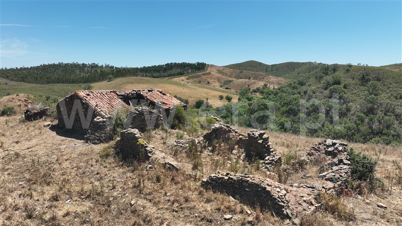 Quinta / Odemira, Saboia