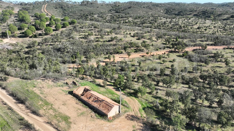 Quinta  Odemira, Saboia - 1448010 - 5