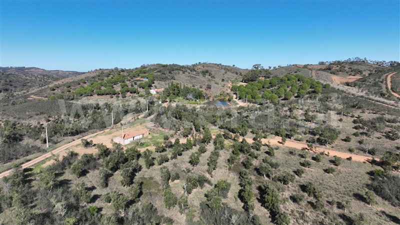 Quinta  Odemira, Saboia - 1448010 - 7