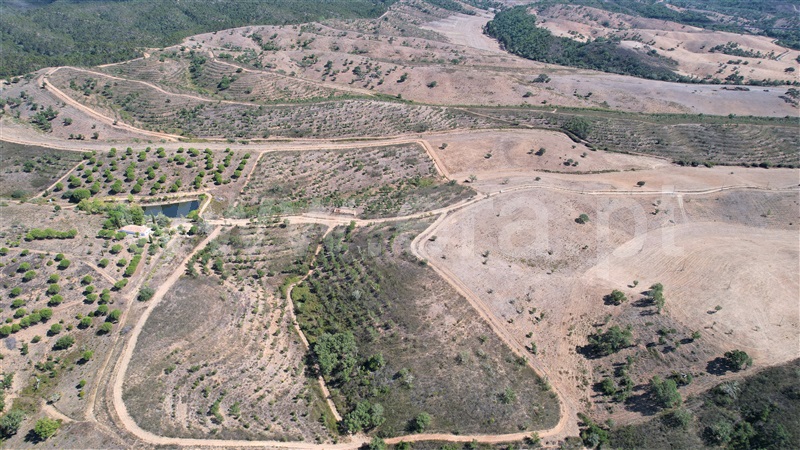 Quinta  Odemira, Saboia - 1448010 - 12