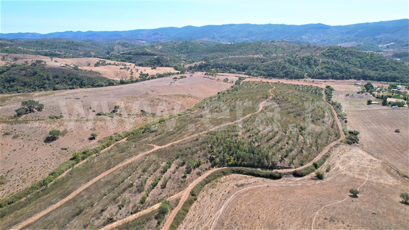 Quinta  Odemira, Saboia - 1448010 - 16