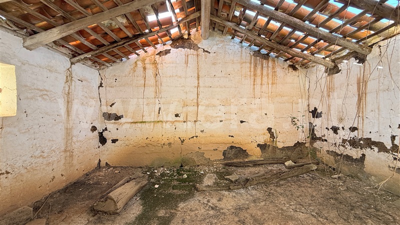 Quinta  Odemira, Saboia - 1448010 - 19