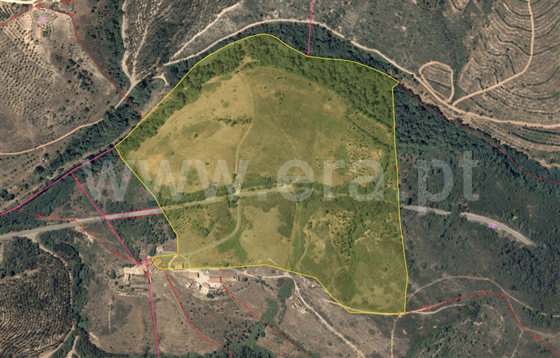Quinta  Odemira, Santa Clara-á-Velha - 1322793 - 1