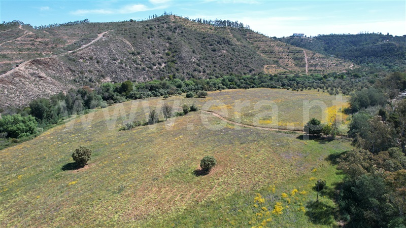Quinta  Odemira, Santa Clara-á-Velha - 1322793 - 21