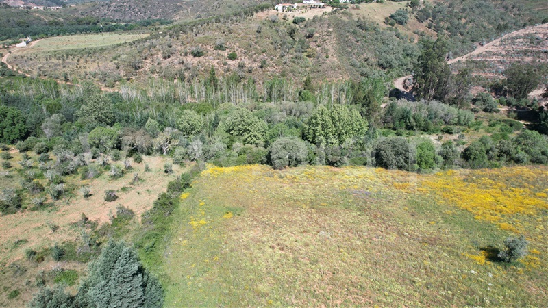 Quinta  Odemira, Santa Clara-á-Velha - 1322793 - 22