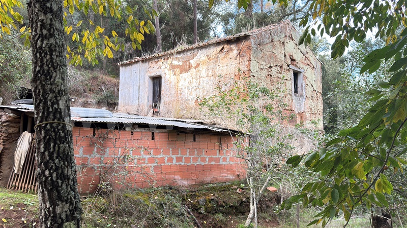 Quinta / Odemira, São Luis