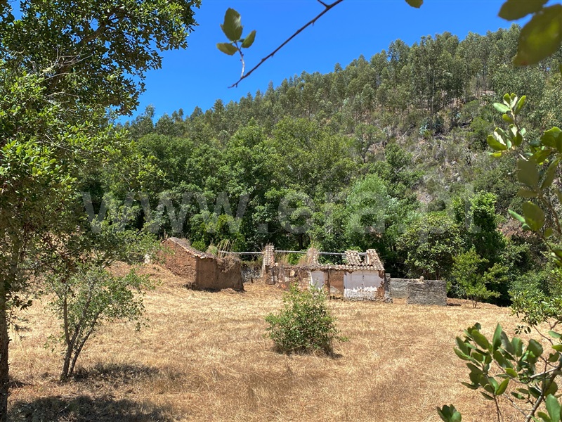Quinta / Odemira, São Teotónio