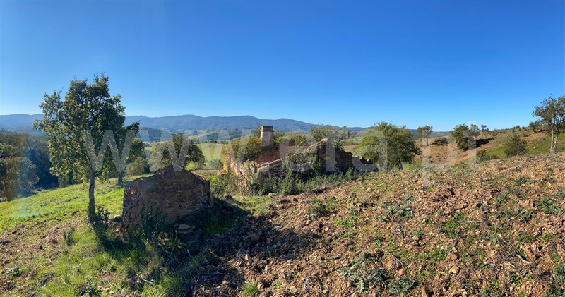 Quinta / Odemira, São Teotónio