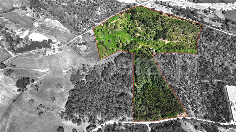 Quinta / Odemira, São Teotónio