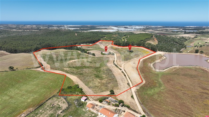 Quinta / Odemira, São Teotónio