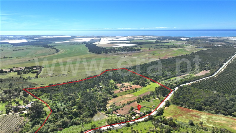 Quinta / Odemira, São Teotónio