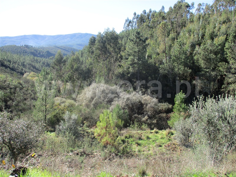 Terreno  Oleiros, Cambas - 1236132 - 2