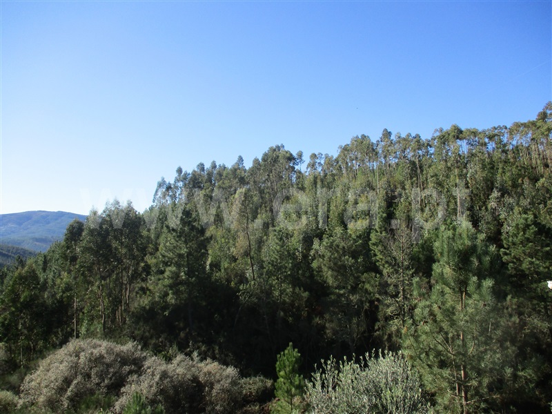 Terreno  Oleiros, Cambas - 1236132 - 3