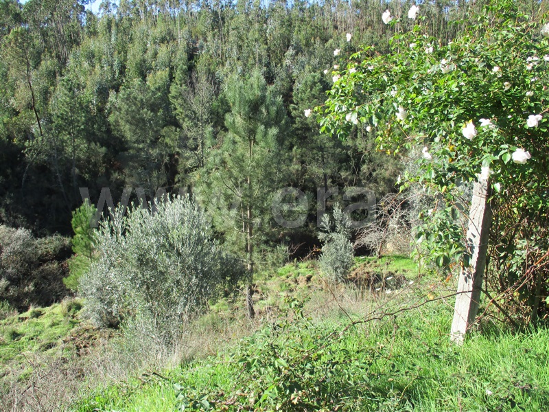 Terreno  Oleiros, Cambas - 1236132 - 4