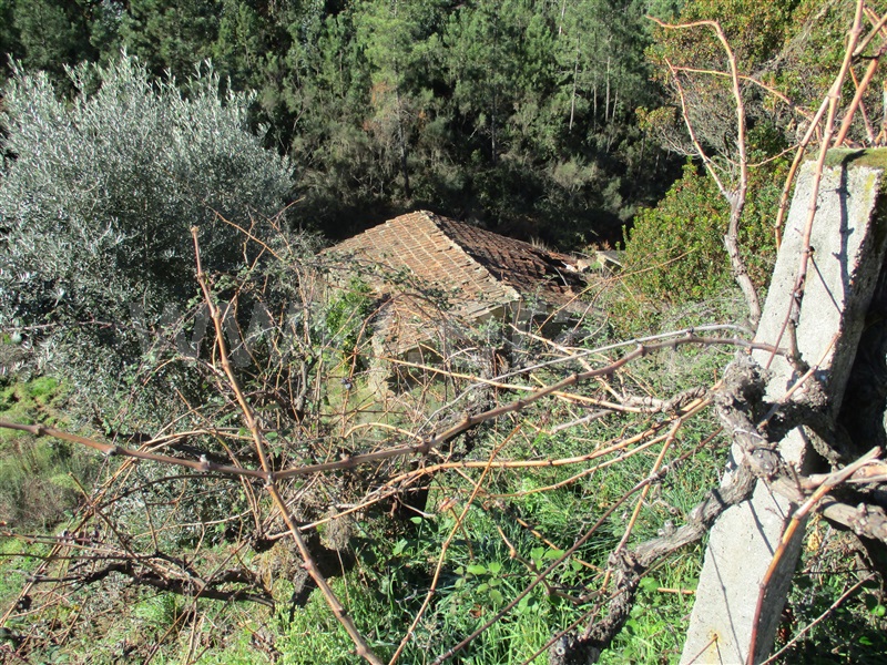 Terreno  Oleiros, Cambas - 1236132 - 5