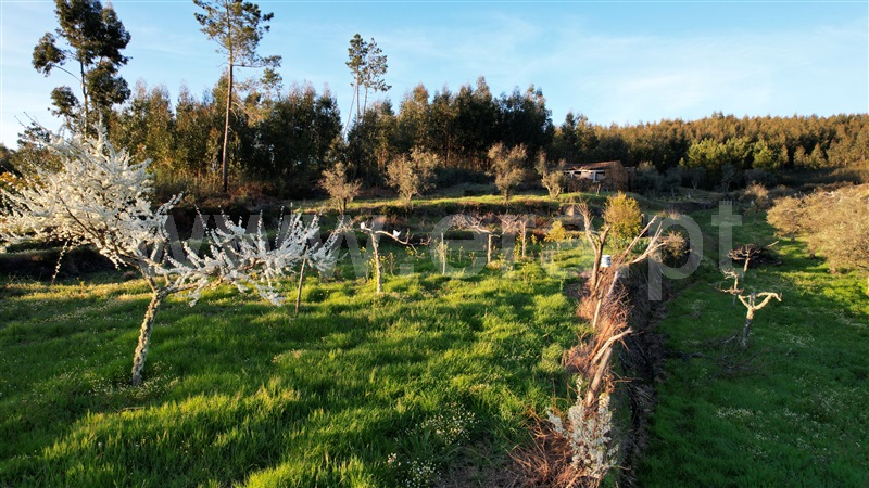 Quinta / Oleiros, Estreito-Vilar Barroco