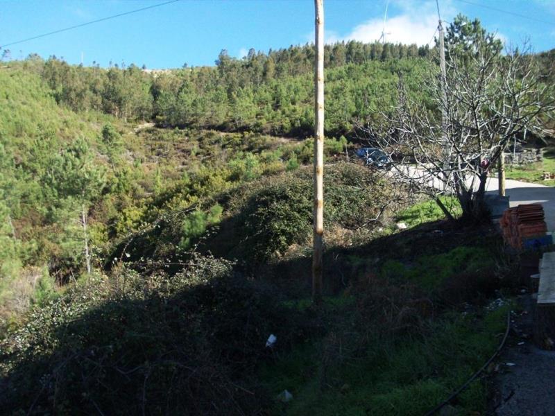 Quinta  Oleiros, Rabaceiras - 225771 - 10