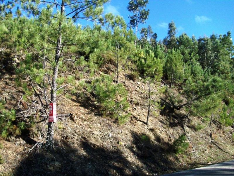 Quinta  Oleiros, Rabaceiras - 225771 - 20