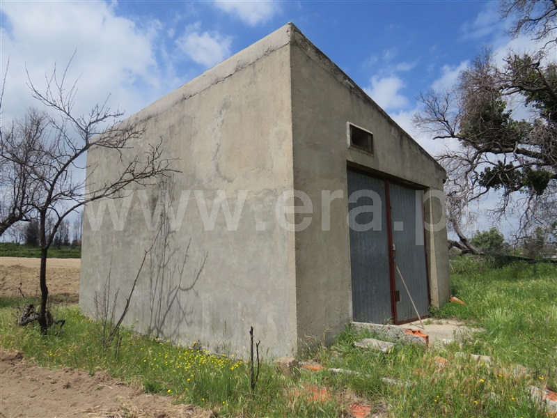 Quinta  Oliveira do Hospital, Ervedal da Beira - 999047 - 8