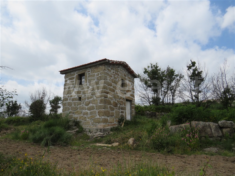 Quinta / Oliveira do Hospital, Ervedal da Beira