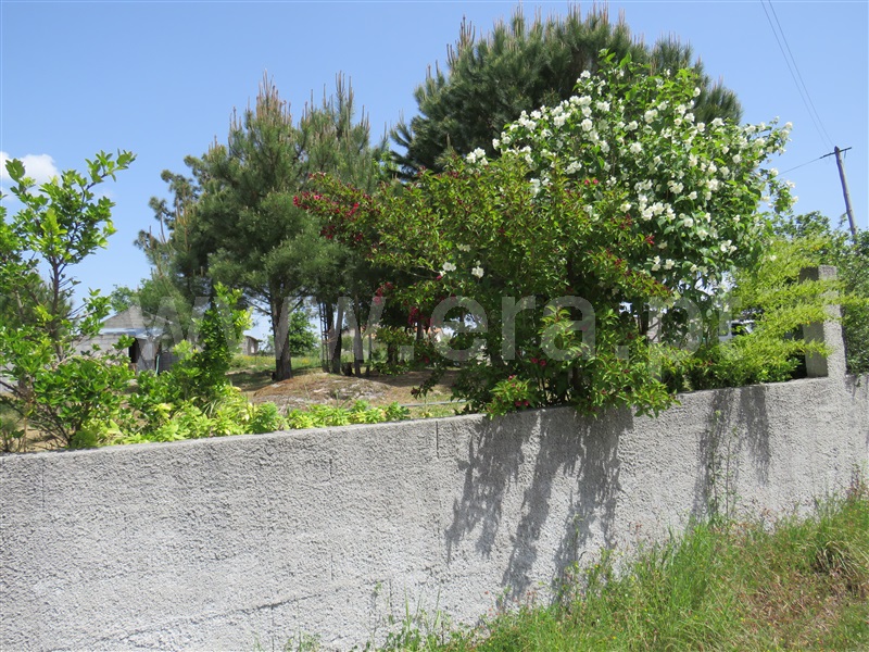 Quinta  com Agrícola Oliveira do Hospital, Seixo da Beira - 1246171 - 3
