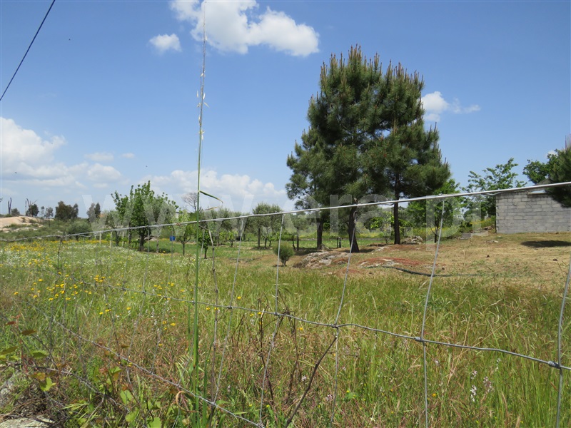 Quinta  com Agrícola Oliveira do Hospital, Seixo da Beira - 1246171 - 4