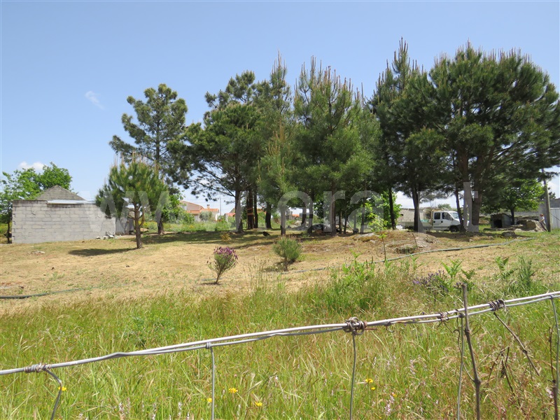 Quinta  com Agrícola Oliveira do Hospital, Seixo da Beira - 1246171 - 7